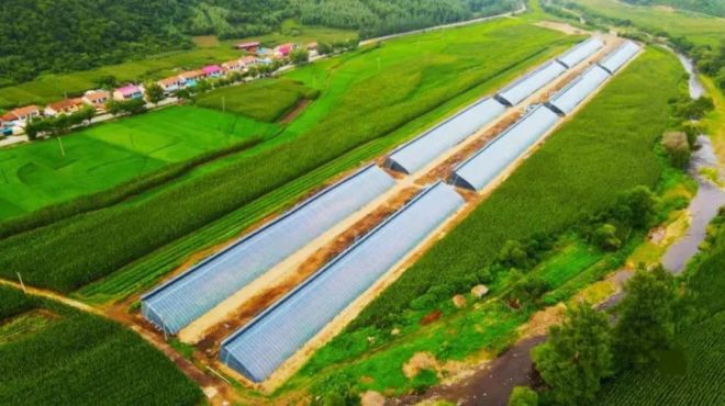 1649382498728577.jpg 2.jpg